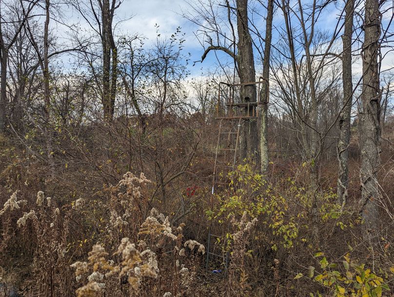 PXL_20221102_205844225