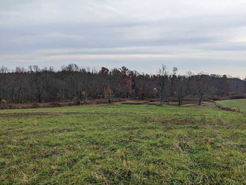 PXL_20221102_210119166