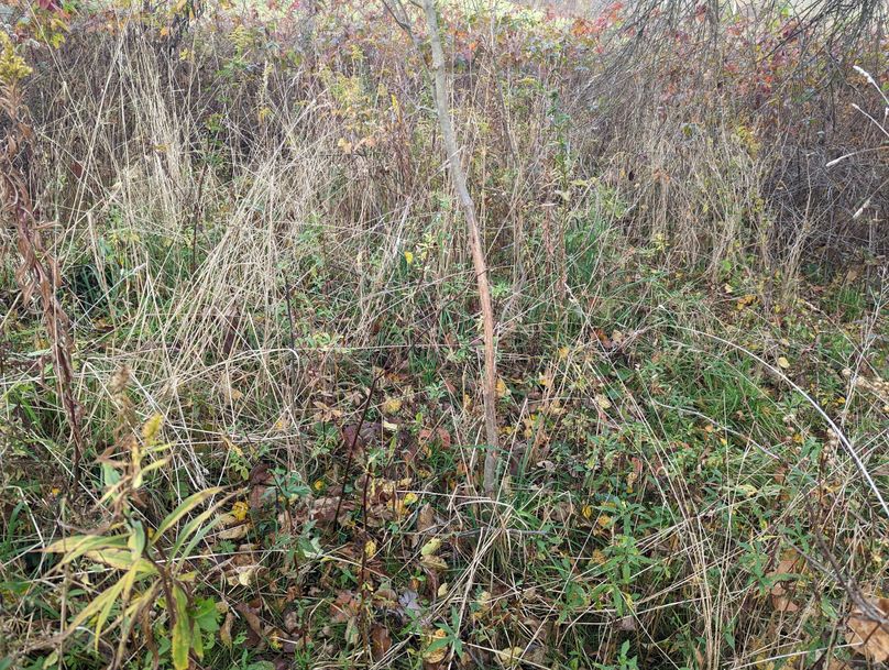 PXL_20221102_210713858