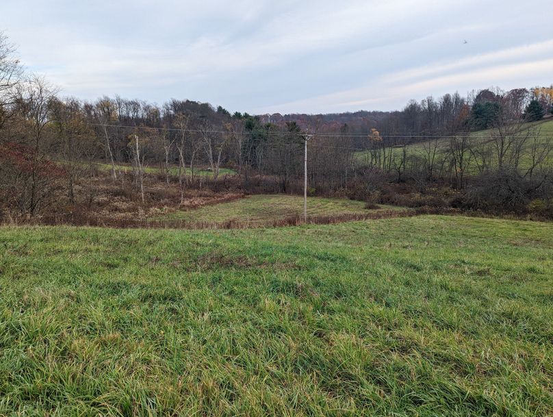 PXL_20221102_205645516