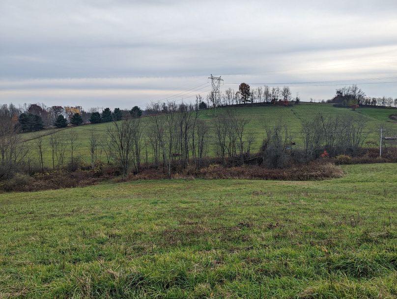 PXL_20221102_205624777