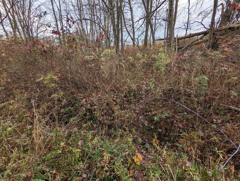 PXL_20221102_210749904