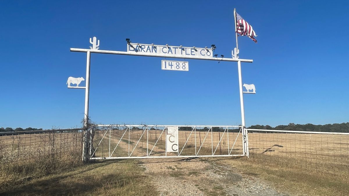 Turnkey Cattle Ranch With House And Barns Whitetail Properties