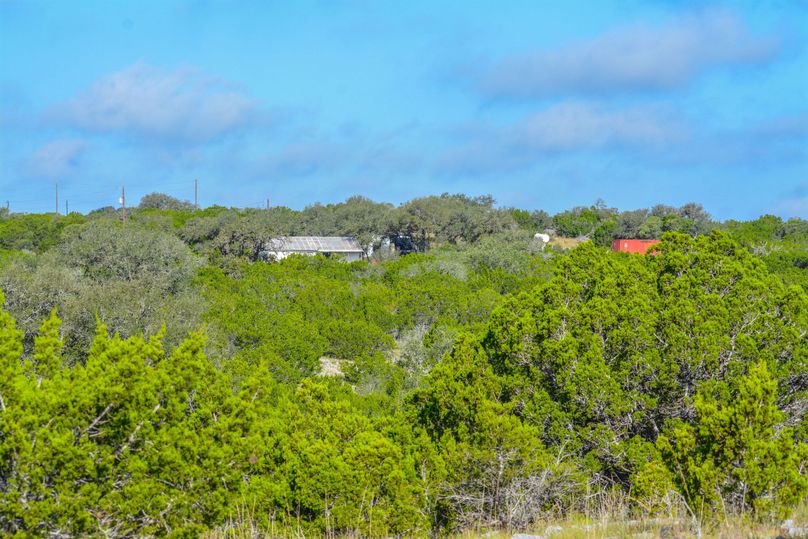 Cave Creek Ranch 200 Acres With Cabin And Exotics Whitetail Properties