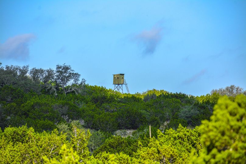 Cave Creek Ranch 200 Acres With Cabin And Exotics Whitetail Properties