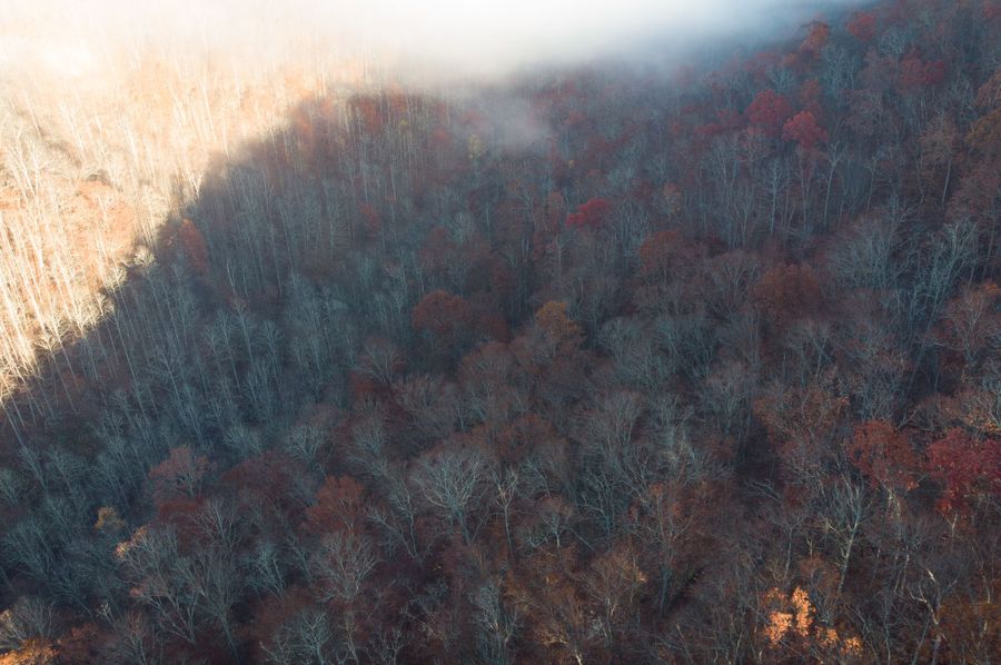 DJI_0754