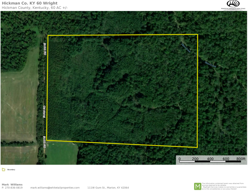 Hickman co. KY 60 aerial