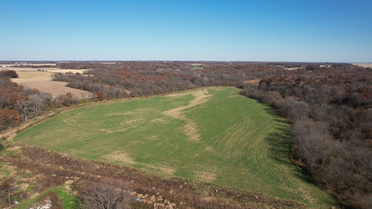All Tillable Tract Southwest Of La Harpe Illinois Whitetail Properties