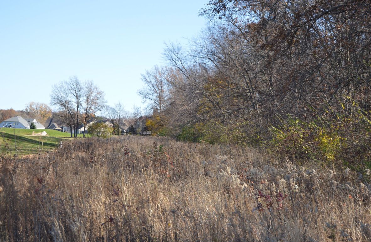 east edge looking south