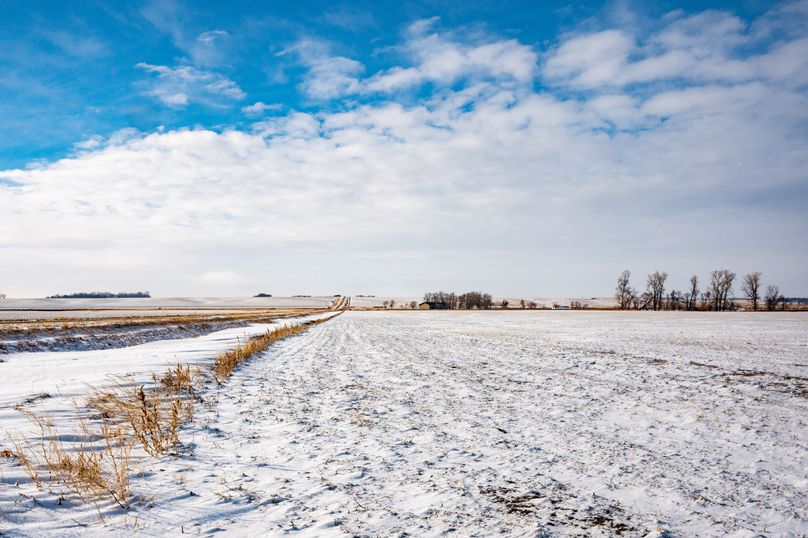 5. southern property line looking west
