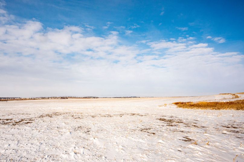 4. SE corner of property