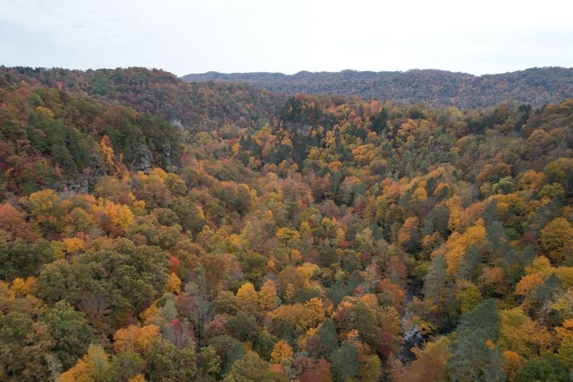 DJI_0853