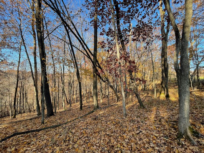 Crawford 160 - 36 of 55