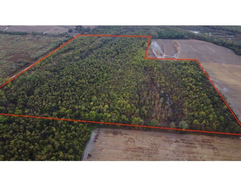 East Carroll 100 (Outline) copy