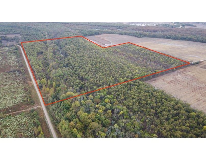 East Carroll 100 Coody (Outline) copy