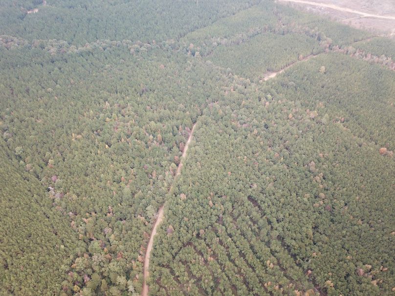 19390F56FD8B25A7D42661B2E788075B