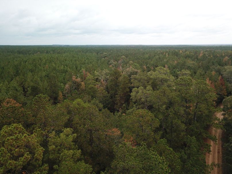 927A1290A4D6EEB92A9F9B2ADB8FDF0F