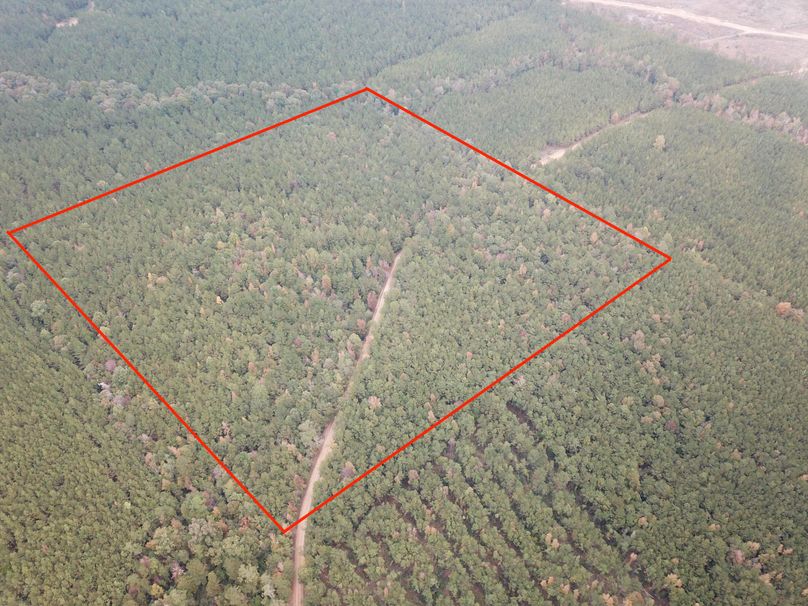 1BC2764C-D22F-4774-9105-0B6B36DD9CE6