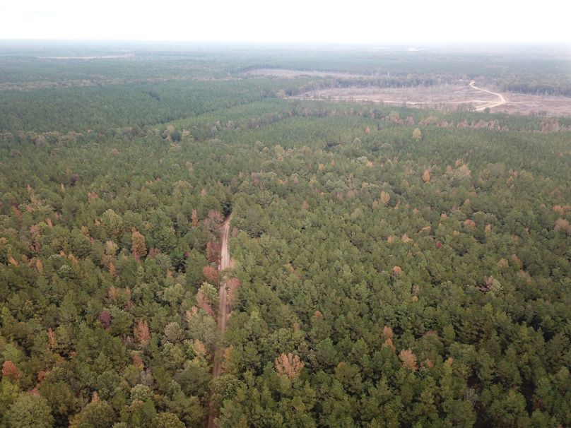 A15B4D9465D67566F53CA150505BF2B7