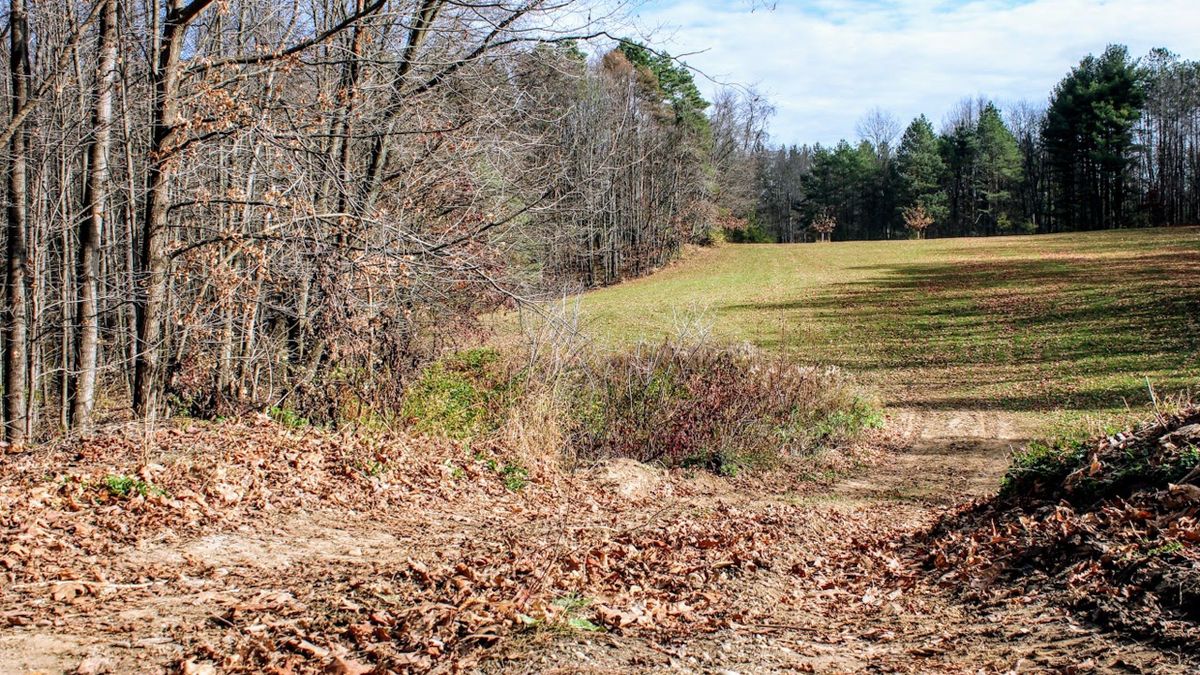 Rolling Timbered Acreage With Manicured Trail System, Outbuildings