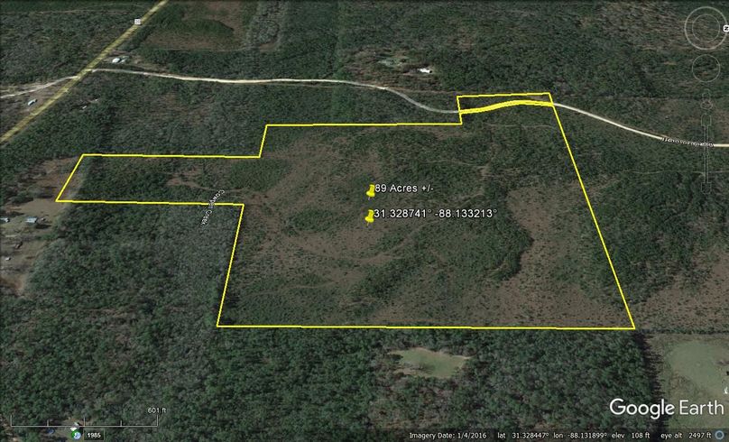 Aerial #5 Approx. 89 Acres Washington County, AL