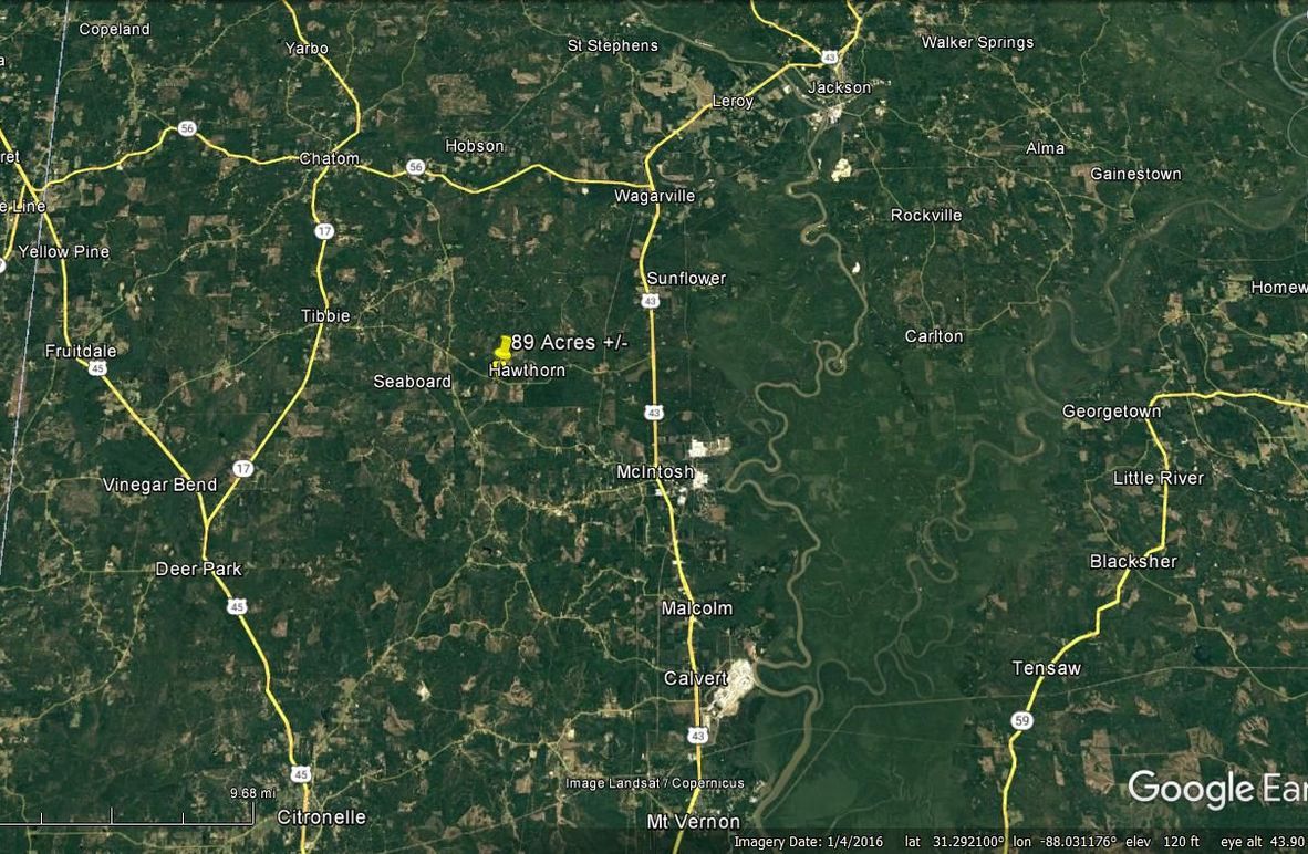 Aerial #7 Approx. 89 Acres Washington County, AL