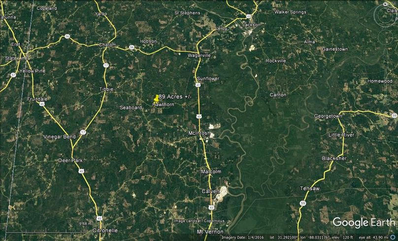 Aerial #7 Approx. 89 Acres Washington County, AL
