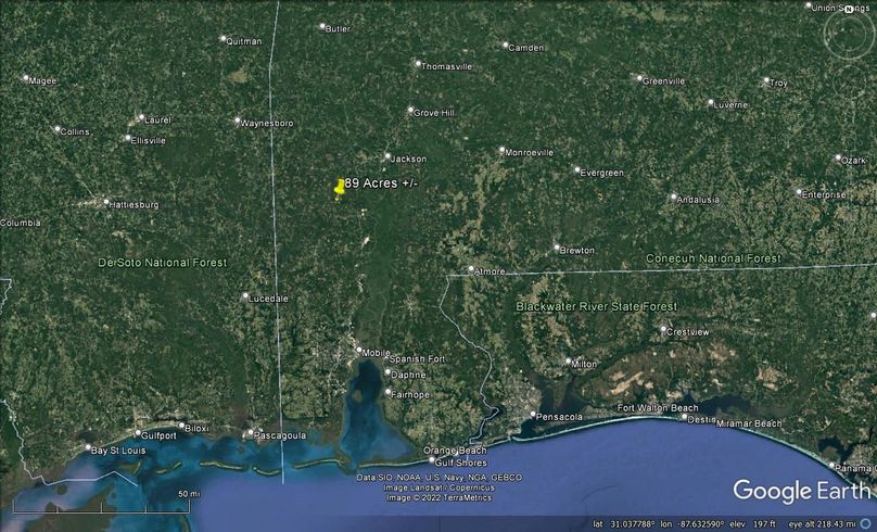 Aerial #8 Approx. 89 Acres Washington County, AL