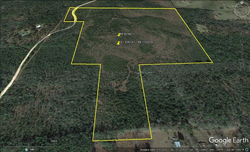 Aerial #2 Approx. 89 Acres Washington County, AL