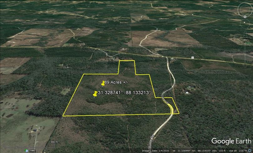Aerial #4 Approx. 89 Acres Washington County, AL