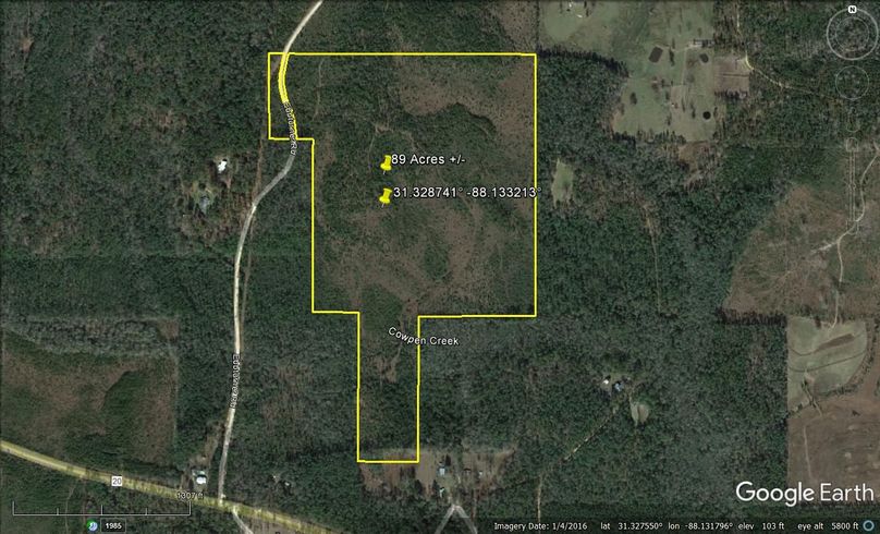 Aerial #1 Approx. 89 Acres Washington County, AL
