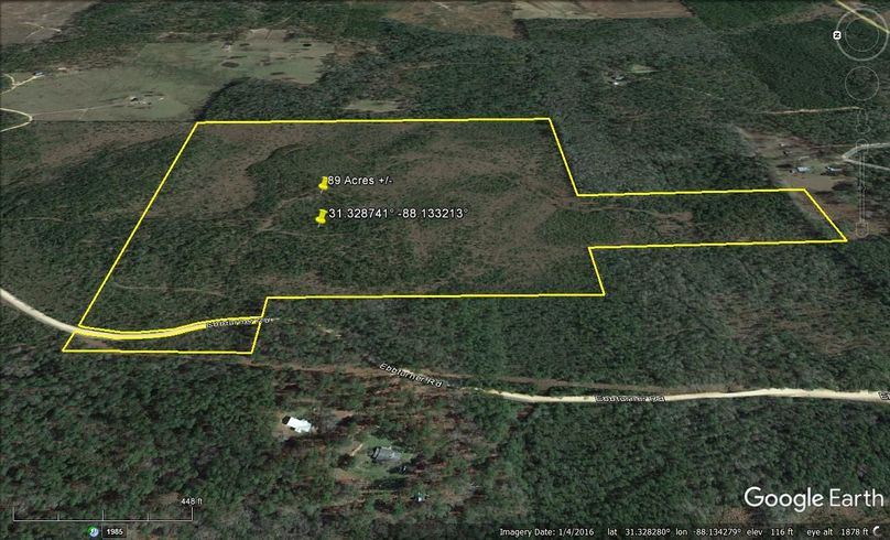 Aerial #3 Approx. 89 Acres Washington County, AL