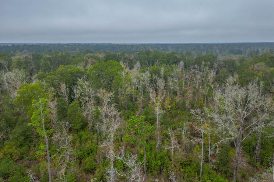 Sabine 107 ACRE 47