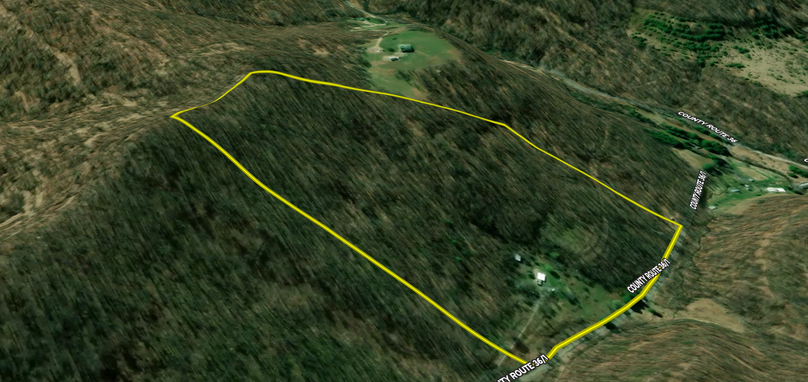 Screen Shot 2022-11-13 at 7.12.11 PM