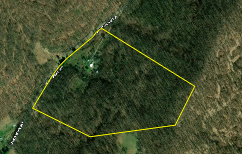 Screen Shot 2022-11-13 at 7.07.28 PM