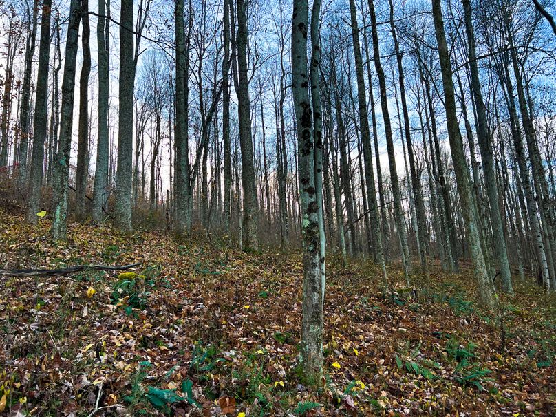 Webster, WV 27 AC Cowger-28