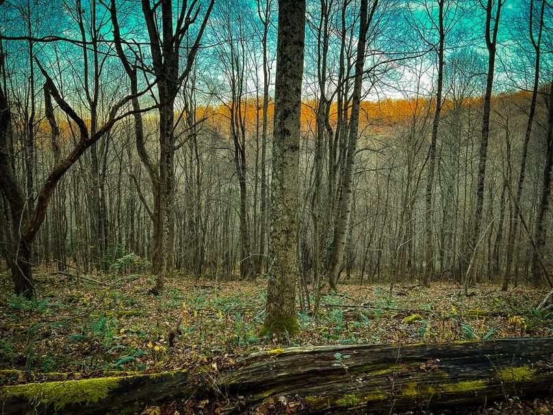 Webster, WV 27 AC Cowger-26