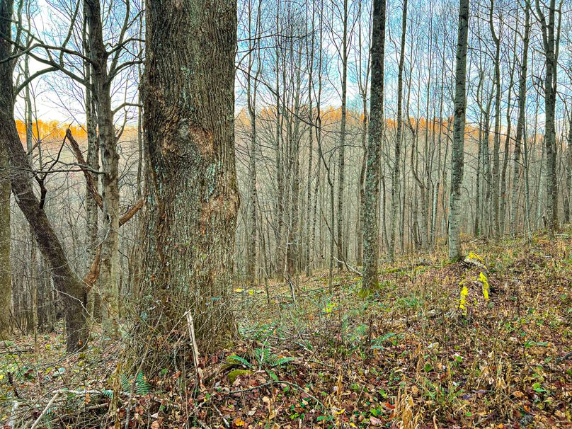 Webster, WV 27 AC Cowger-25