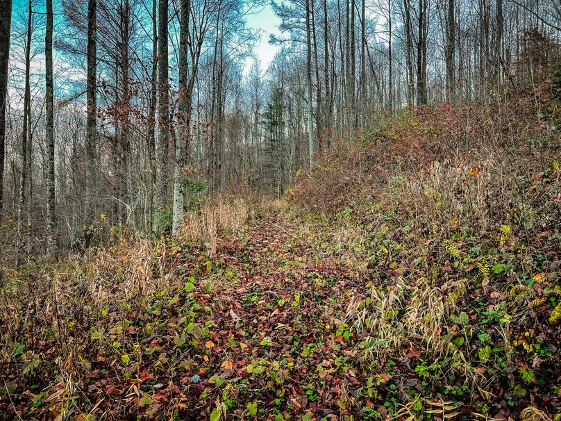 Webster, WV 27 AC Cowger-17