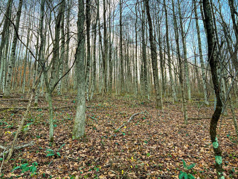 Webster, WV 27 AC Cowger-30