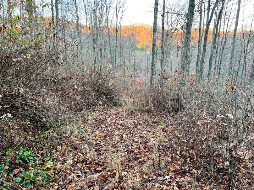 Webster, WV 27 AC Cowger-15