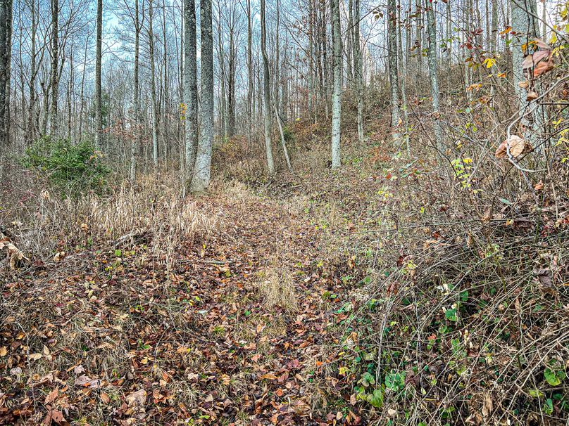 Webster, WV 27 AC Cowger-16