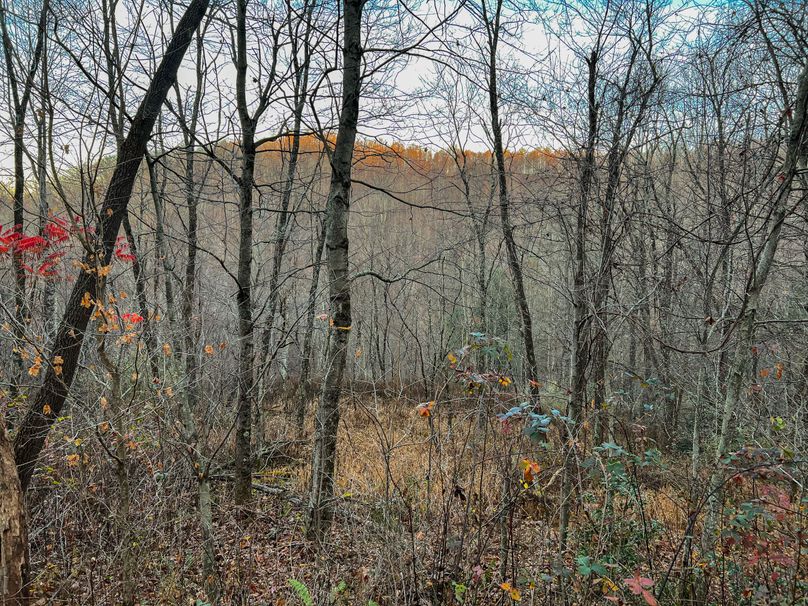 Webster, WV 27 AC Cowger-12