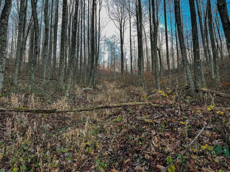 Webster, WV 27 AC Cowger-20