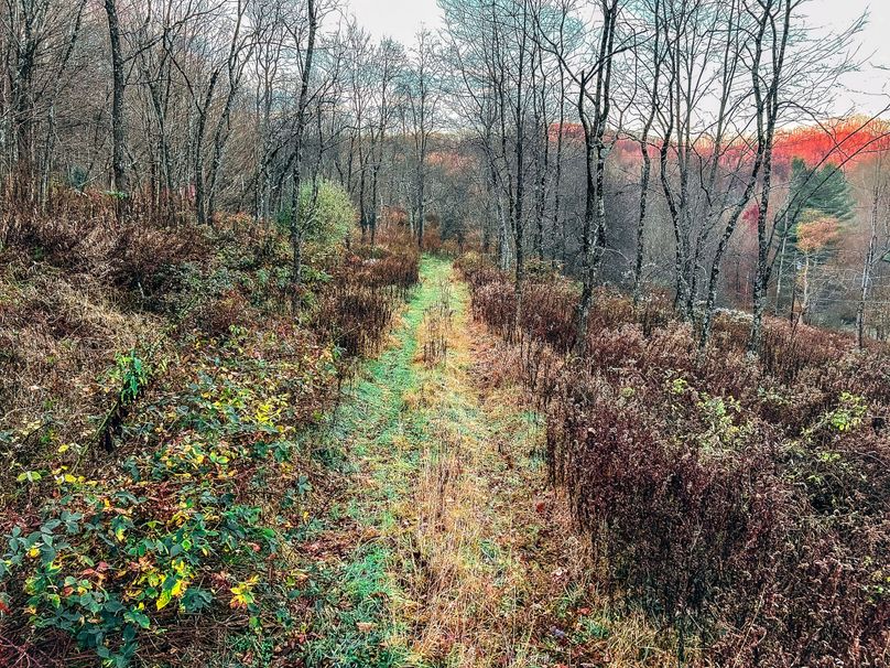 Webster, WV 27 AC Cowger-01