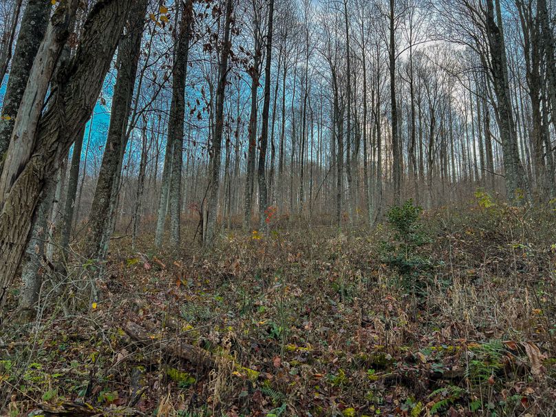 Webster, WV 27 AC Cowger-23