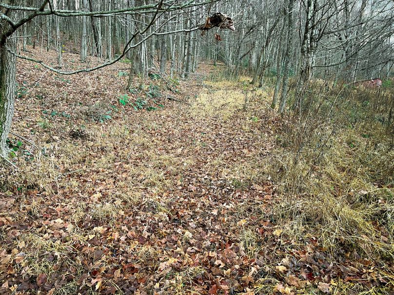 Webster, WV 27 AC Cowger-05