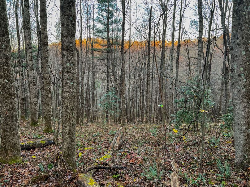 Webster, WV 27 AC Cowger-22