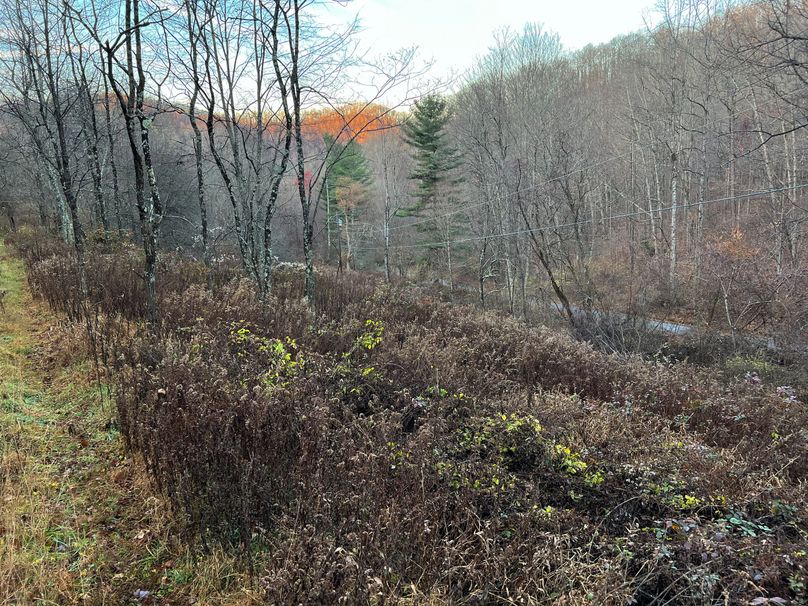 Webster, WV 27 AC Cowger-03