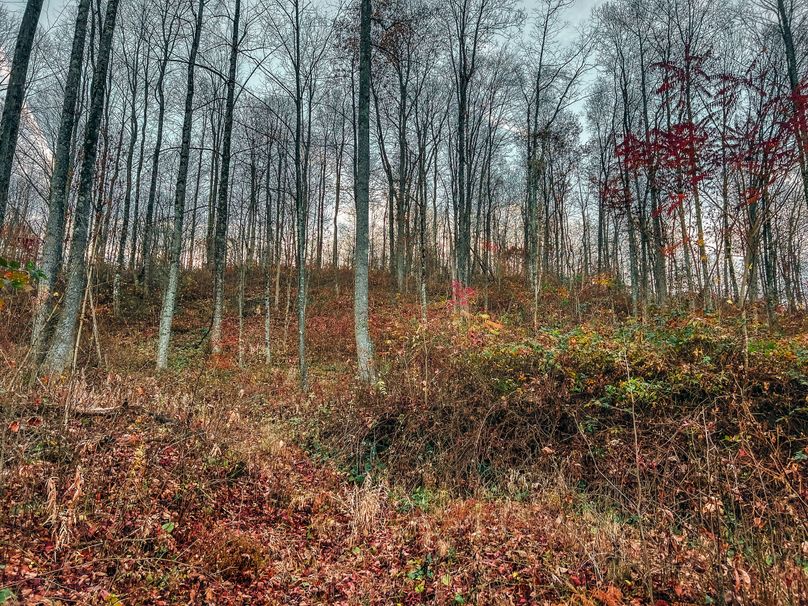 Webster, WV 27 AC Cowger-14